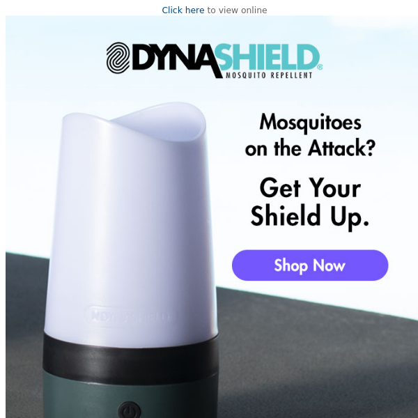 Shield Yourself Against Seasonal Attacks ➜