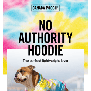 One-of-a-kind (your pup AND their new hoodie)