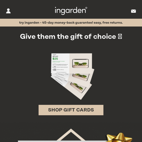 Countdown to Christmas: Gift Cards for Those Final Moments!