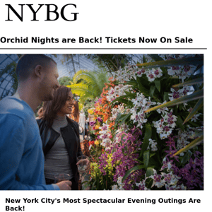 Orchid Nights are Back! ✨