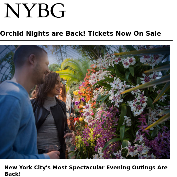 Orchid Nights are Back! ✨