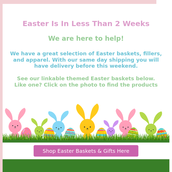 Themed Easter Baskets- Same Day Ship