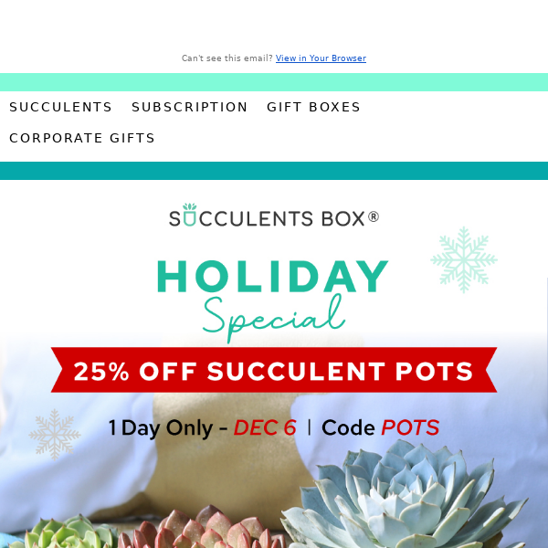 Hurry - 25% Off Pots, One Day Only