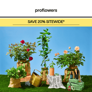 20% off gifts to grow the garden