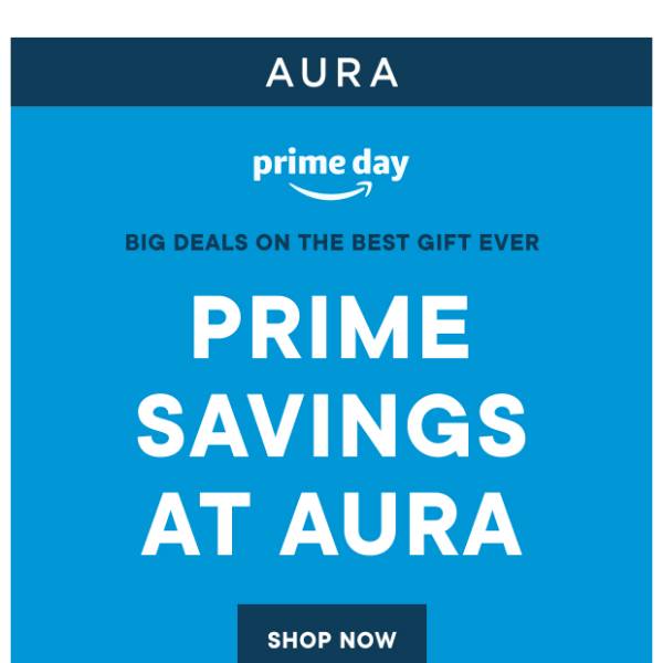 Save 20% With Prime Day Deals