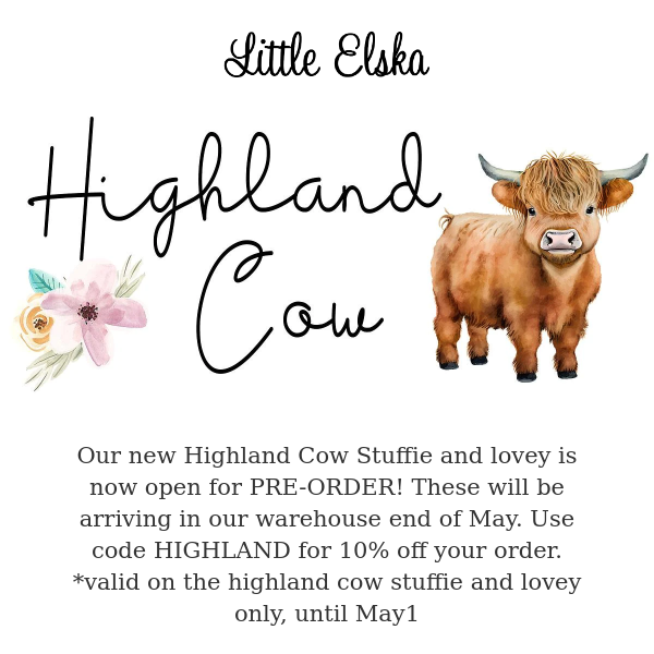 Highland Cow... check out our CUTEST new animal