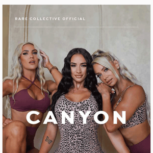 CANYON NOW LIVE 🌵