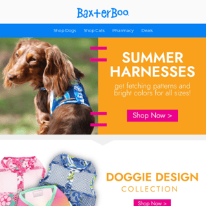 Shop HOT Harness Fashions for Summer! ☀️