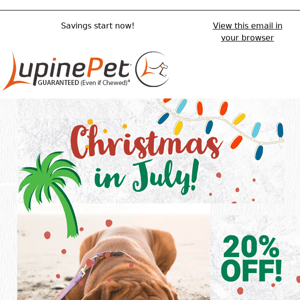 Save Big for Christmas in July