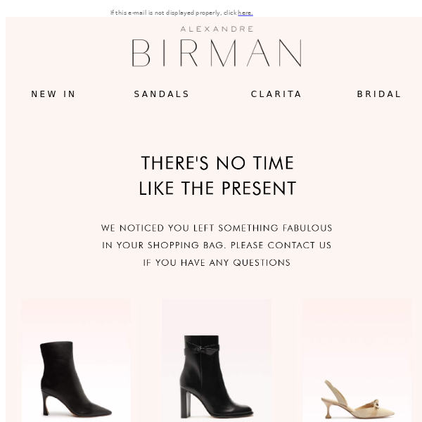 Alexandre Birman, We Know You Still Want It