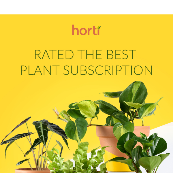 Rated Best Among All Other Plant Subscriptions ✨