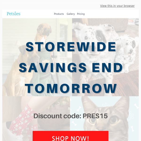 🐾🐾🐾 Storewide savings ending tomorrow!