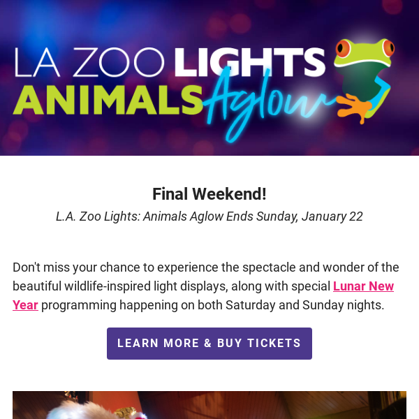 Final weekend of L.A. Zoo Lights!