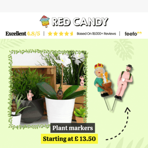 Hoppy Easter Sale Upto 70% OFF! Explore Our Garden Lover's Paradise