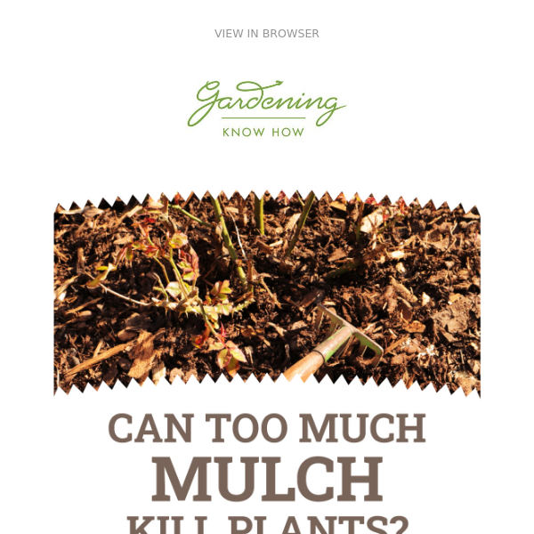 Are You Using Too Much Mulch?