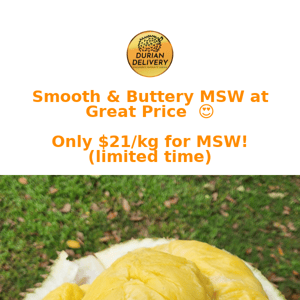 Smooth & Buttery MSW at Great Price 😍