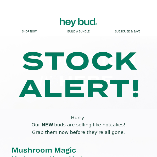🚨 STOCK ALERT! 🚨 Mushroom Mask is LOW!