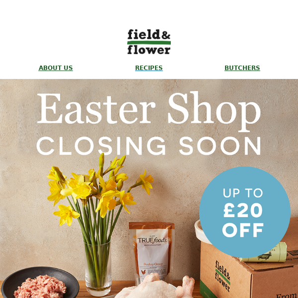 ONE WEEK LEFT | Easter shop closing soon