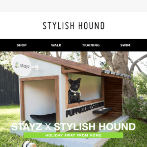 Your pooch can now holiday in style with STAYZ 🐶