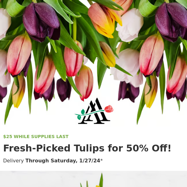 🌷 Weekly Special 🌷 $25 for 20 Tulips in This Bouquet 🌷