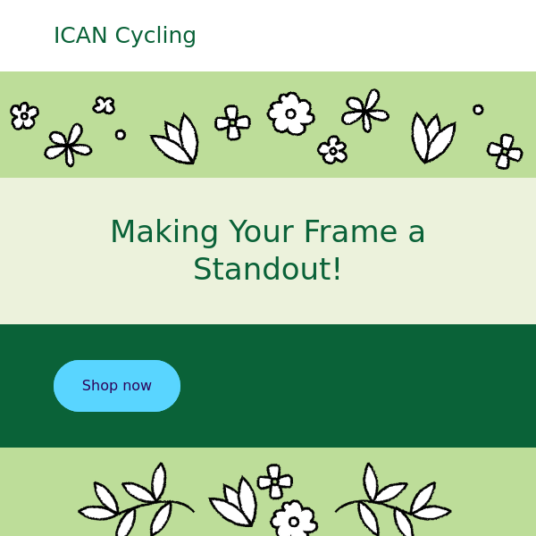 ICAN Cycling's New Paintwork: Making Your Frame a Standout!