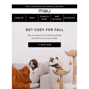 Get Cozy This Fall