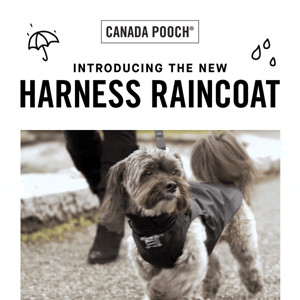 NEW Harness Raincoat 🌧️