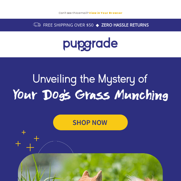 Is Your Dog a Grass Gourmet? Discover the Why & How!