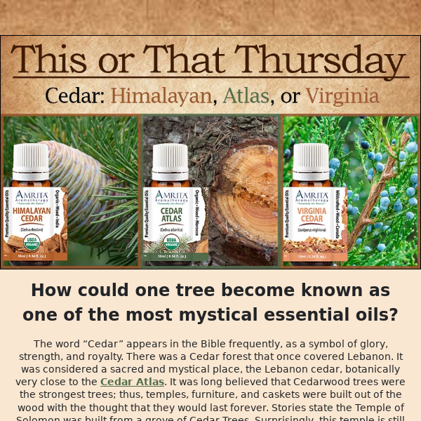 Could all Cedar essential oil come from 1 tree?!?