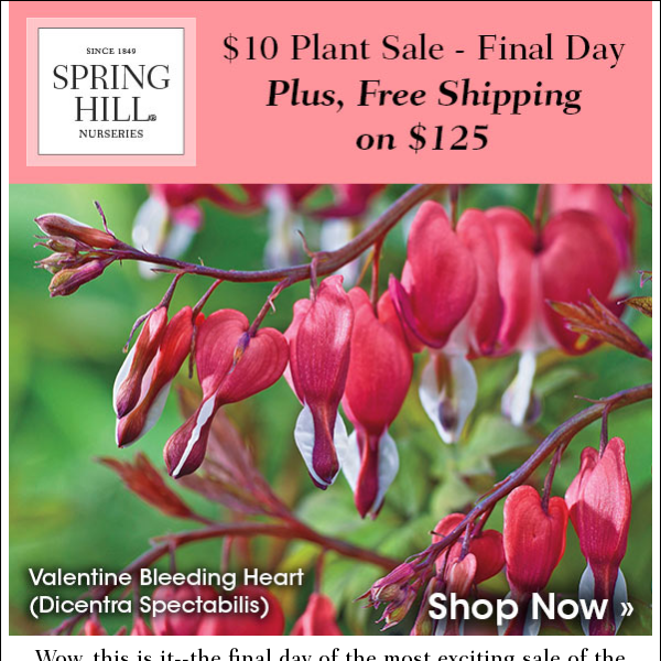 $10 Plant Sale ends tonight - don't miss out!