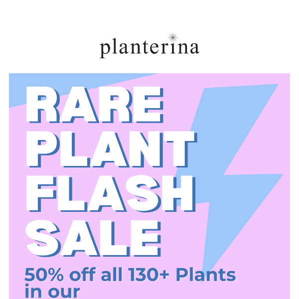 RARE weekend FLASH sale ends TONIGHT..⚡