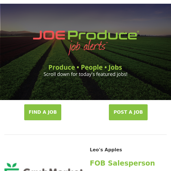 Fresh Jobs With Leo's Apples, GoFresh Produce, Charlie's Produce, South Mill Champs, Citrus Research Board, Honeybear Marketing & Awe Sum Organics
