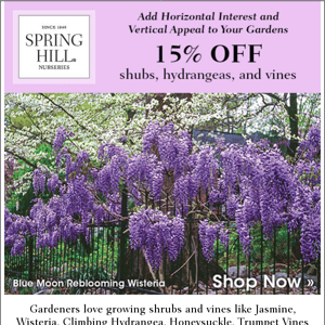 Shop now and save 15% on select shrubs, hydangeas, and vines + free shipping on orders of $75 or more!