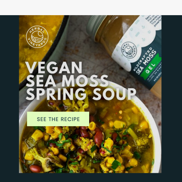 🚨 Video Recipe Alert: Vegan Sea Moss Spring Soup