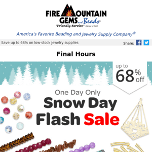 Final Hours - Snow Day Flash SALE