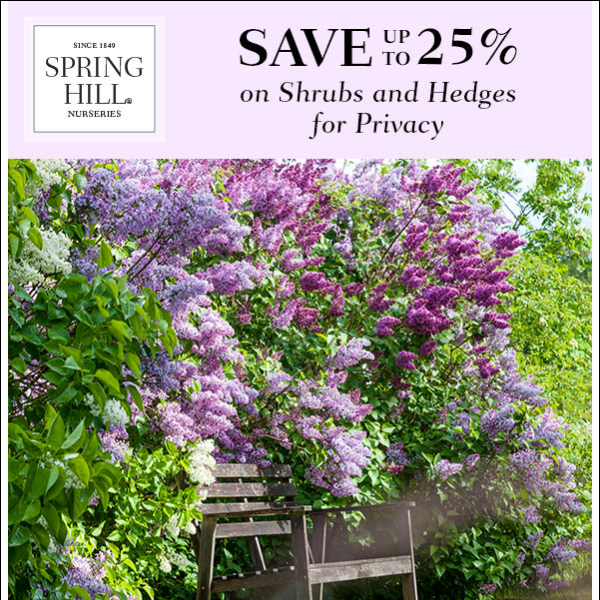 SAVE up to 25% on Privacy Hedges