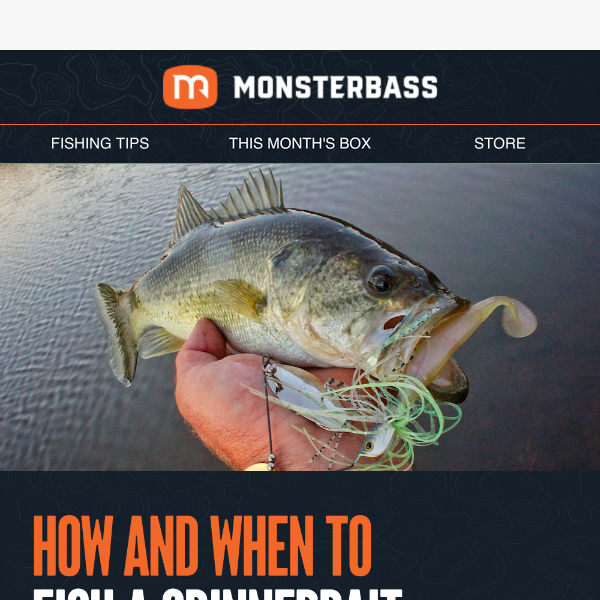 Tips On How To Rig a Swimbait – MONSTERBASS