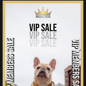 Your VIP Discount is ending! ⏳