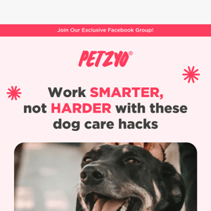 11 Smart Hacks For Easier Dog Care 🤓