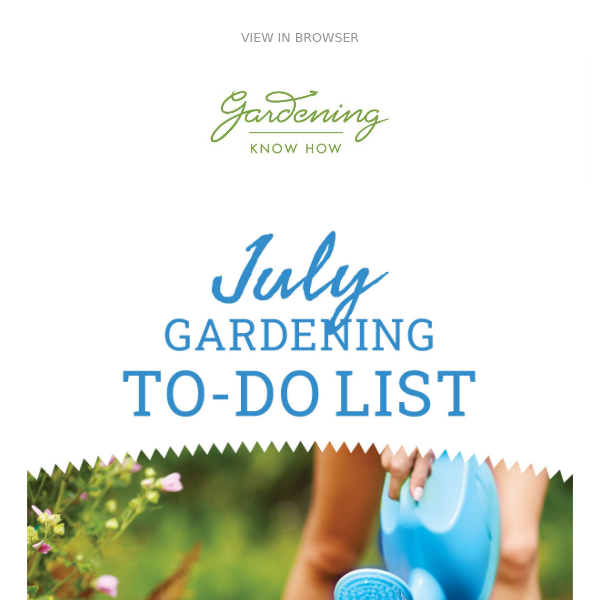 July To-Do List + Do NOT Buy These 11 Plants + Blossom End Rot In Tomatoes