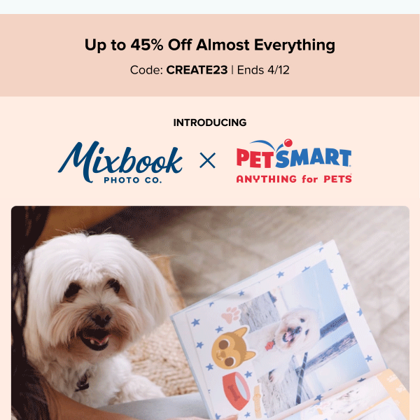 Playful Everyday Cat Book by PetSmart - All Photo Books