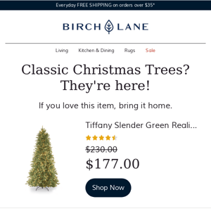 Christmas Trees you'll love!