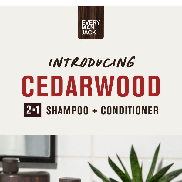 NEW 2-in-1 Cedarwood Shampoo + Conditioner