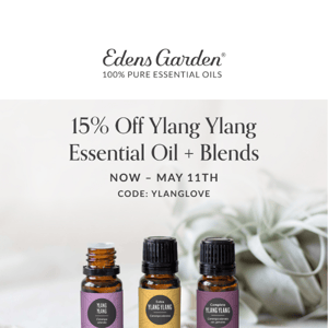 15% Off Ylang Ylang Starts Now!