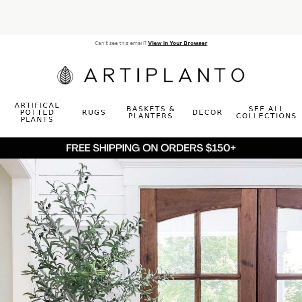 🌿Brighten Your Home For The Holidays Artiplanto