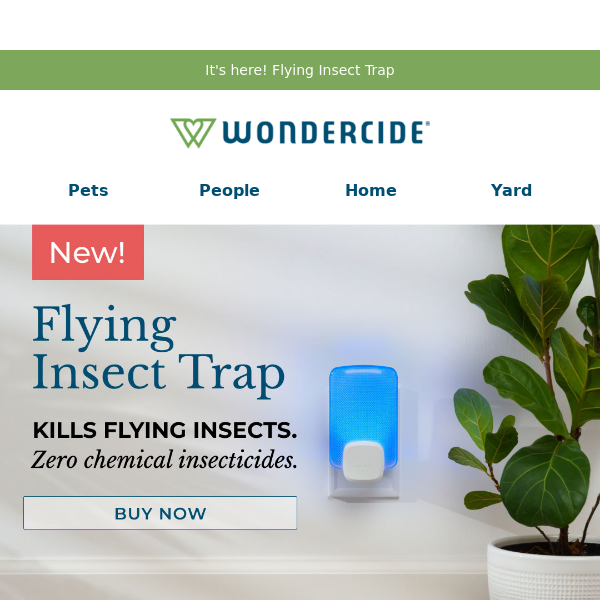 Wondercide Fruit Fly Trap | Plant-Based Fly Trap for Home & Kitchen | Self-Contained Insect Trap | Pack of 2 | Lasts Up to 21 Days Each