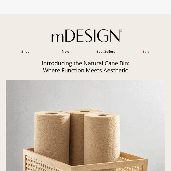 Functionality Meets Beauty: Natural Cane Bins Inside