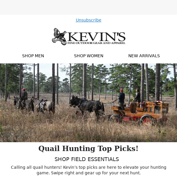 Quail Hunting Top Picks