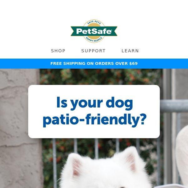 Patio season is here! Is your dog ready?