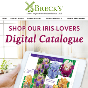 📱 Try our new Iris Lovers digital catalogue!